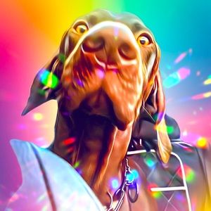 Meet your Posher, Lauronda